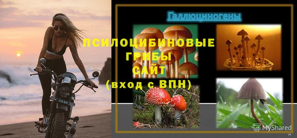 кокс Кукмор