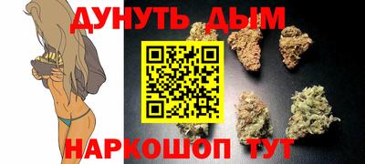 шишки Дубна