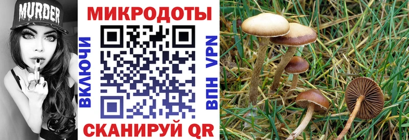 Галлюциногенные грибы Psilocybine cubensis  ссылка на мегу ТОР  Москва 