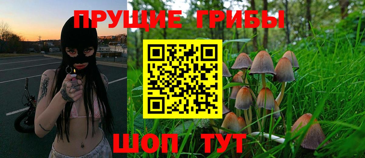 Москва  Галлюциногенные грибы Cubensis  Галлюциногенные грибы ЛСД  Вход с VPN 