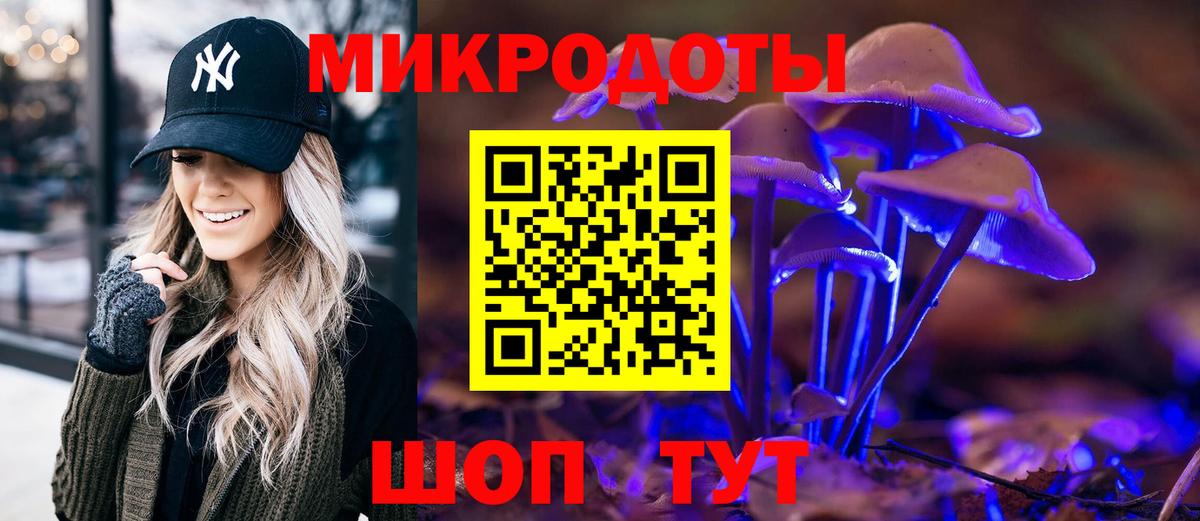 Псилоцибиновые грибы GOLDEN TEACHER Москва