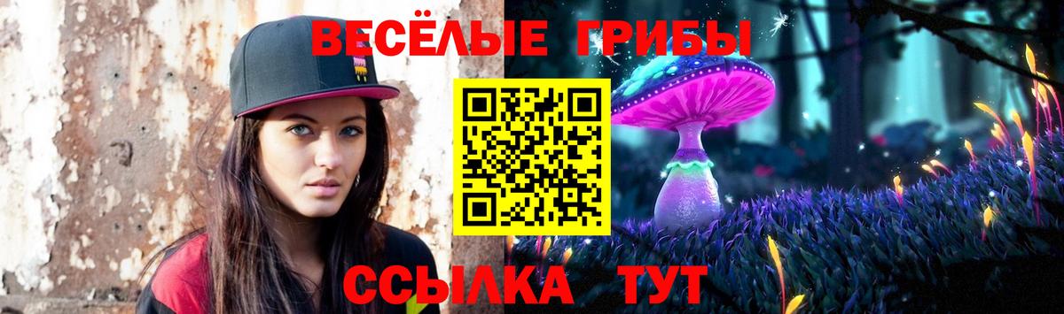 Псилоцибиновые грибы мухоморы  Москва 